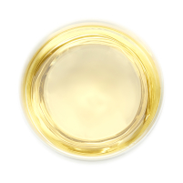 Cycle III Femme Balance Organic