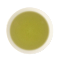 Gyokuro Okabe Bio