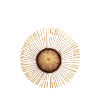 Matcha Whisk Shirotake 80