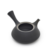 Kyusu Tokoname Fujita Hira Kuro