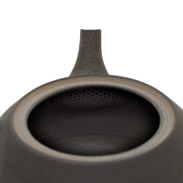 Kyusu Tokoname Fujita Hira Kuro