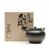 Kyusu Tokoname Hokujo Houkin
