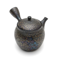 Kyusu Tokoname Shoryu Tenmoku