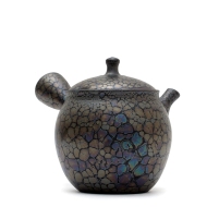 Kyusu Tokoname Shoryu Tenmoku