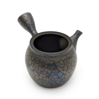 Kyusu Tokoname Shoryu Tenmoku