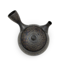 Kyusu Tokoname Shoryu Tenmoku