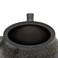 Kyusu Tokoname Shoryu Tenmoku