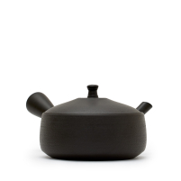 Kyusu Tokoname Hokuryu Hira Kuro
