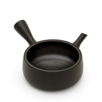 Kyusu Tokoname Hokuryu Hira Kuro