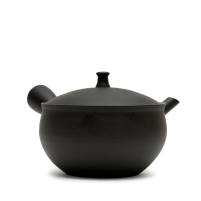 Kyusu Tokoname Hokuryu Namikage