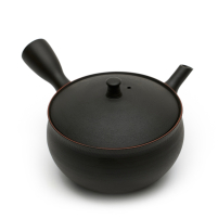 Kyusu Tokoname Hokuryu Namikage