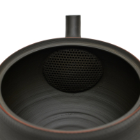 Kyusu Tokoname Hokuryu Namikage