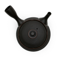 Kyusu Tokoname Hokuryu Matsukawa