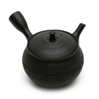 Kyusu Tokoname Hokuryu Matsukawa