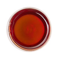 Nilgiri Black Winter Flush Bio