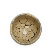 Teacup Yunomi Ryumonji Shiro Dakatsu