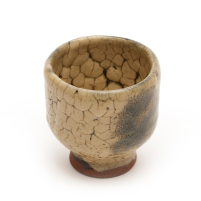 Teacup Yunomi Ryumonji Shiro Dakatsu
