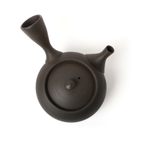 Kyusu Tokoname Gyokko Sendan