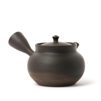 Kyusu Tokoname Gyokko Sendan