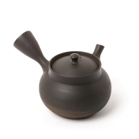 Kyusu Tokoname Gyokko Sendan