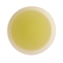 Gyokuro Teebeutel Shibushi Saemidori Bio