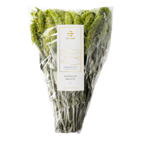 Mursalski Mountain Tea