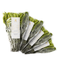 Mursalski Bergtee Bio Set 4x50g