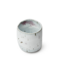 Teacup Yunomi Shigaraki Hozan Tanii Sekichuka