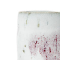 Teacup Yunomi Shigaraki Hozan Tanii Sekichuka