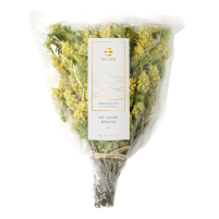 Olymp Mountain Tea Bio
