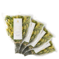 Olymp Bergtee Bio Set 4x50g