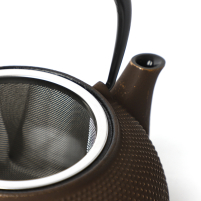 Iwachu Tetsu-Kyusu Arare Gold Coffee