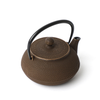 Iwachu Tetsu-Kyusu Arare Goldcafe