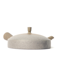 Kyusu Tokoname Jinshu Hira
