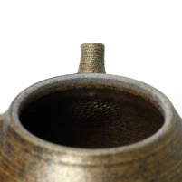 Kyusu Tokoname Yohei #2