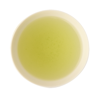Hon Gyokuro Hoshino Tezumi pest.frei