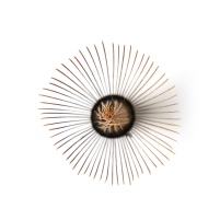 Matcha Whisk Mushanokōji-senke Kuro Kankyūan