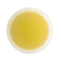 Sencha Immune Active IgA Bio