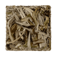 Aged Zheng He Bai Mu Dan Squares 2021 4g