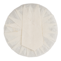Ba Nuo 2018 Sheng Pu Erh 357g Cake