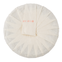 Ding Xi 2021 Sheng Pu Erh 357g Cake