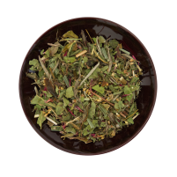 Cycle II Femme Balance Bio