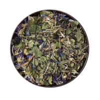 Phytovision Support Phyto Harmony Bundle