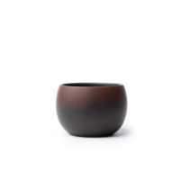 Nixing Teacup Shadow