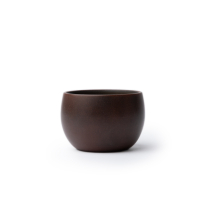 Nixing Teacup Kiesel