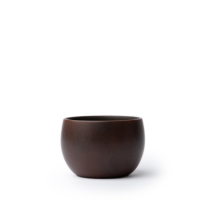 Nixing Teacup Kiesel