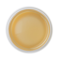 Classic Tea Flower