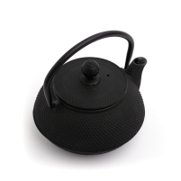 Yoshi en Cast Iron Tetsu-Kyusu Teapot 650ml