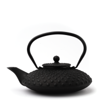 Yoshi en Cast Iron Kambin Teapot 800ml