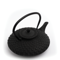 Yoshi en Cast Iron Kambin Teapot 800ml